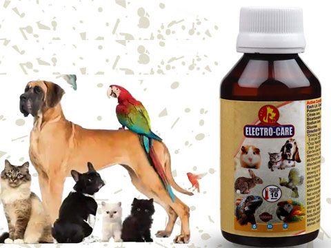 Pet Care
